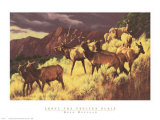 Buy Above the Fruited Plain at AllPosters.com