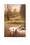 Ruthie's Sheep Art Print
