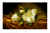 Buy Magnolias on Gold Velvet Cloth at AllPosters.com