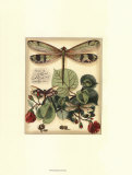 Whimsical Dragonflies II