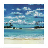 Caribbean Palms