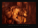Wolf Spirit of the Sacred