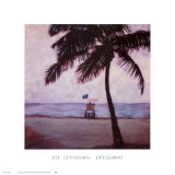 Buy Lifeguard at AllPosters.com