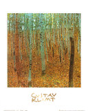 Forest of Beeches