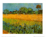 Buy View of Arles with Irises at AllPosters.com