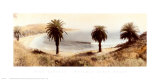 Refugio State Beach Art Print