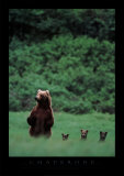 Buy Chaperone at AllPosters.com
