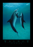 Danse Des Dauphins Art Print