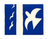 Oiseaux