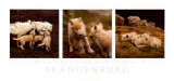 Wolf Family Portrait