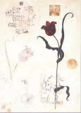 Buy Tulip II at AllPosters.com