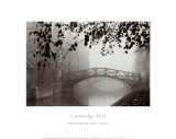 Cambridge Mist