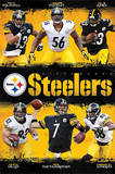 Pittsburgh Steelers Team