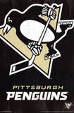 Pittsburgh Penguins Logo