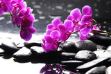 Branch Purple Orchid Flower With Therapy Stones