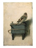 The Goldfinch, 1654 Art Print