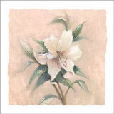 Buy Iris Elegance at AllPosters.com