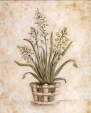 Buy White on White II at AllPosters.com