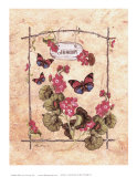 Geranium Butterfly
