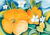 Buy Golden Delight at AllPosters.com
