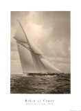 Buy White Heather at AllPosters.com