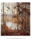 Northern River