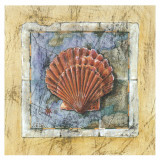 Buy Sea Shell at AllPosters.com