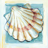 Buy Shell  White Serie I at AllPosters.com