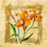 Buy Lirio at AllPosters.com
