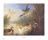 Buy Waterfowl in a Landscape at AllPosters.com