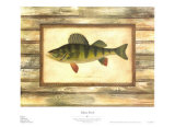 Buy Yellow Perch at AllPosters.com