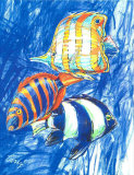 Buy Orange Fish at AllPosters.com