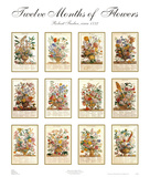Twelve Months of Flowers