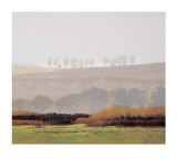 Buy Trees Above the River at AllPosters.com