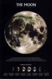 The Moon