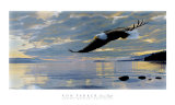 Dawn Flight