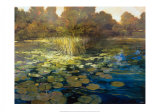 Buy Waterlilies at AllPosters.com