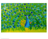 Buy Peacock at AllPosters.com