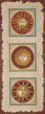 Sun Panel