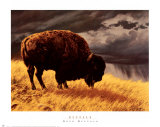 Buy Buffalo at AllPosters.com