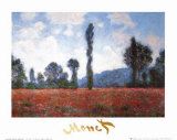 Field of Poppies