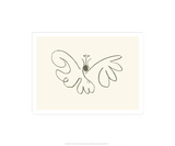 The Butterfly