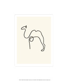 The Camel