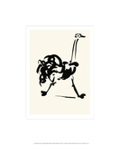 The Ostrich