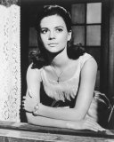 Buy Natalie Wood at AllPosters.com