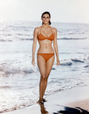 Buy Raquel Welch at AllPosters.com