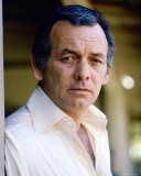 Buy David Janssen at AllPosters.com