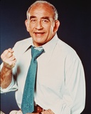 Edward Asner - Lou Grant