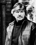 Charles Bronson - Death Wish 4: The Crackdown