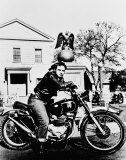 Marlon Brando Photo
